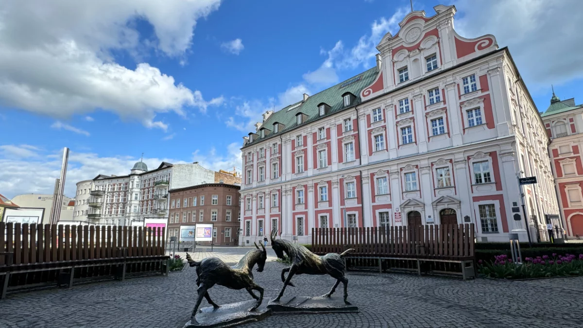 Praca dla studentów w poznańskim urzędzie miasta. Można zarobić ponad 7 tys. zł - Zdjęcie główne