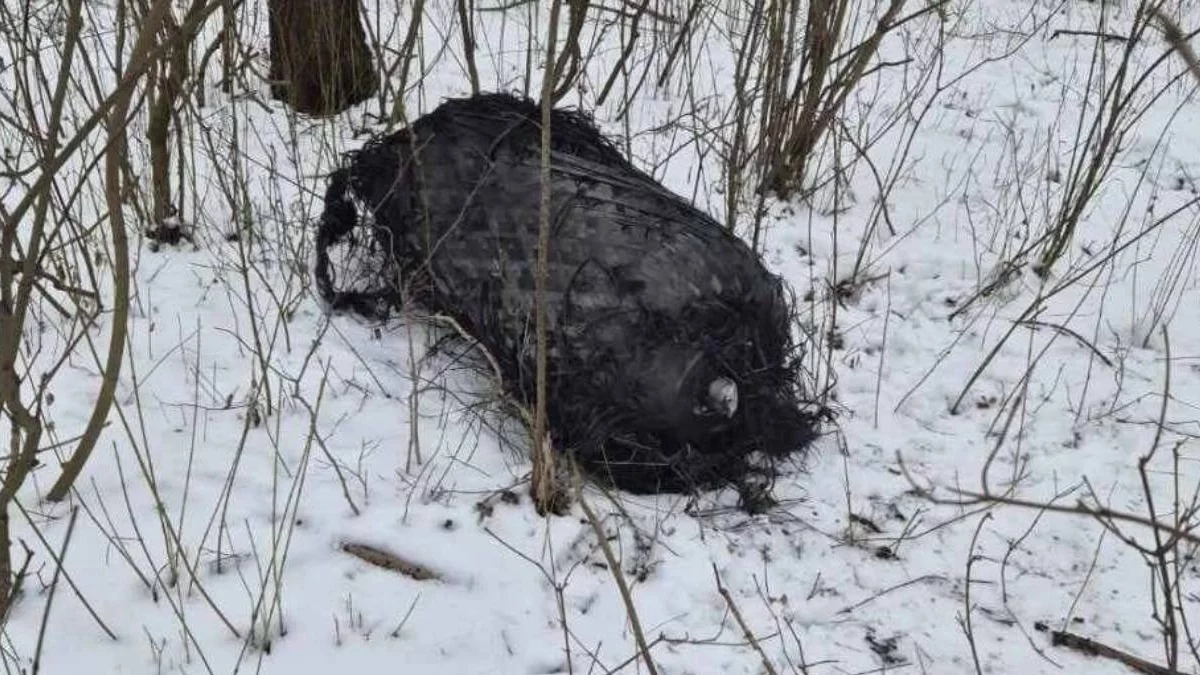 Kolejny element rakiety Falcon 9. Znaleziono go w pobliżu autostrady A2 - Zdjęcie główne