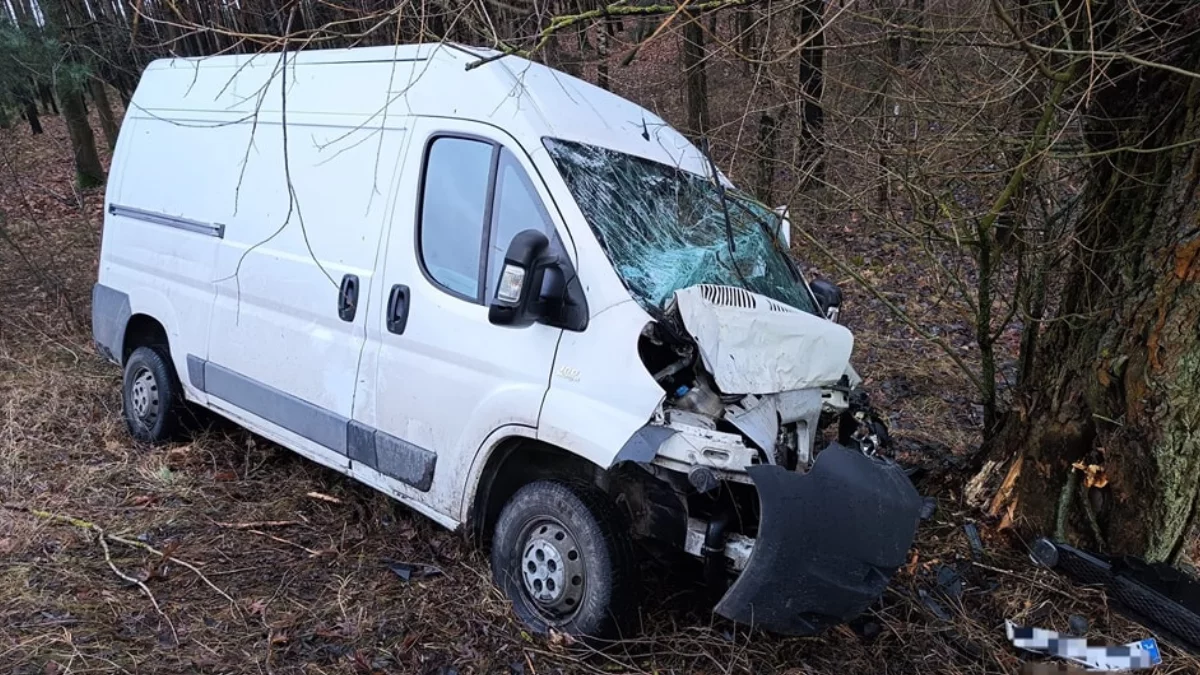 Tragedia na drodze pod Gnieznem. Nie żyje 73-latek - Zdjęcie główne