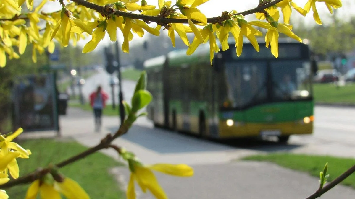 Zmiany w komunikacji miejskiej w Poznaniu i Kaliszu na okres wielkanocny - Zdjęcie główne