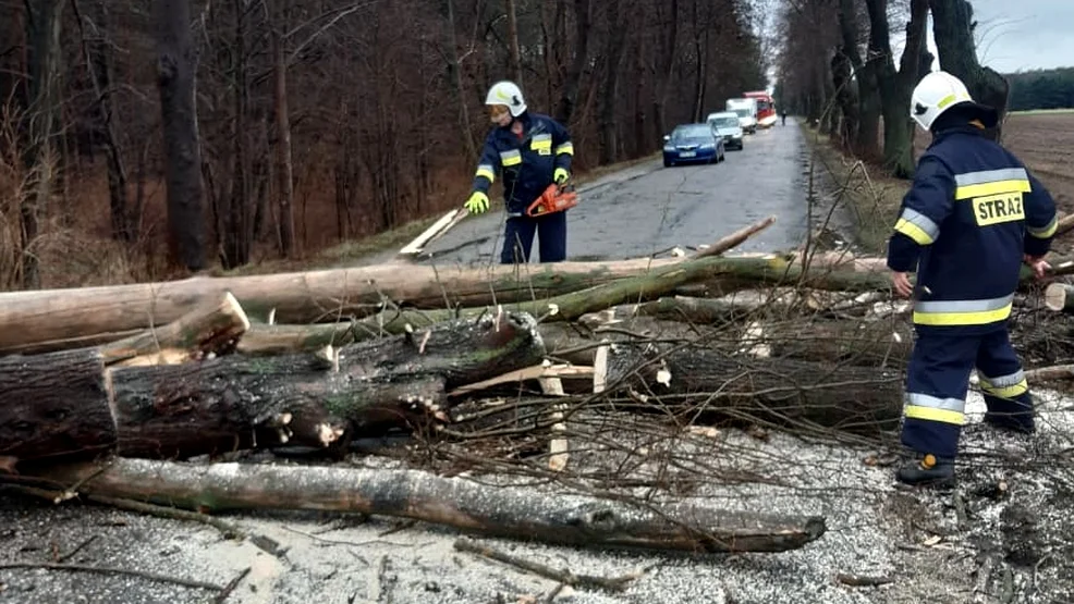 Zmiana pogody. Synoptycy ostrzegają. Będą trudne warunki na drogach - Zdjęcie główne