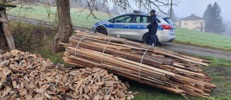 Mężczyzna bez prawa jazdy ukradł drewno z lasu - Zdjęcie główne