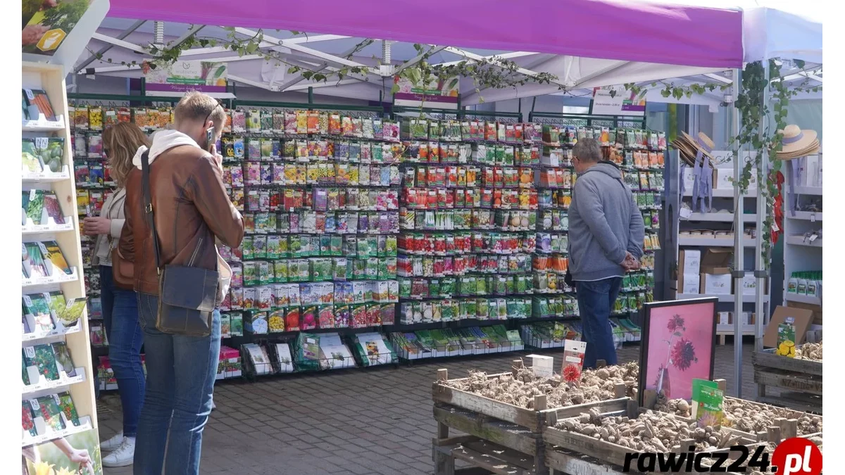 Pozbądź się gratów i odbierz darmowe nasiona kwiatów!