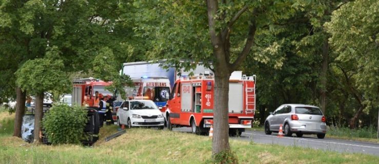 Omijała kota i uderzyła w drzewo. Jechała z dwójką małych dzieci - Zdjęcie główne