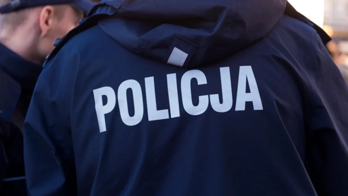 Zwęglone zwłoki na posesji pod Wrześnią. Policja zatrzymała 34-latka - Zdjęcie główne