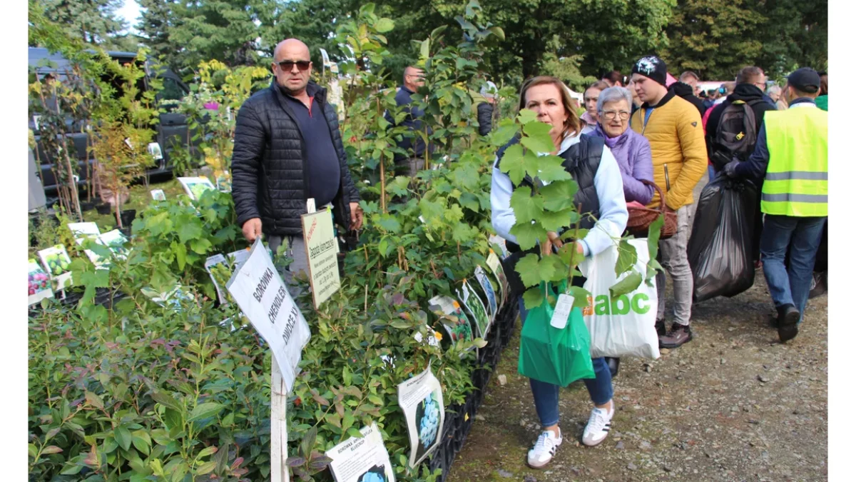 Duże zainteresowanie targami AGROMARSZ w Marszewie 2024 [ZDJĘCIA] - Zdjęcie główne