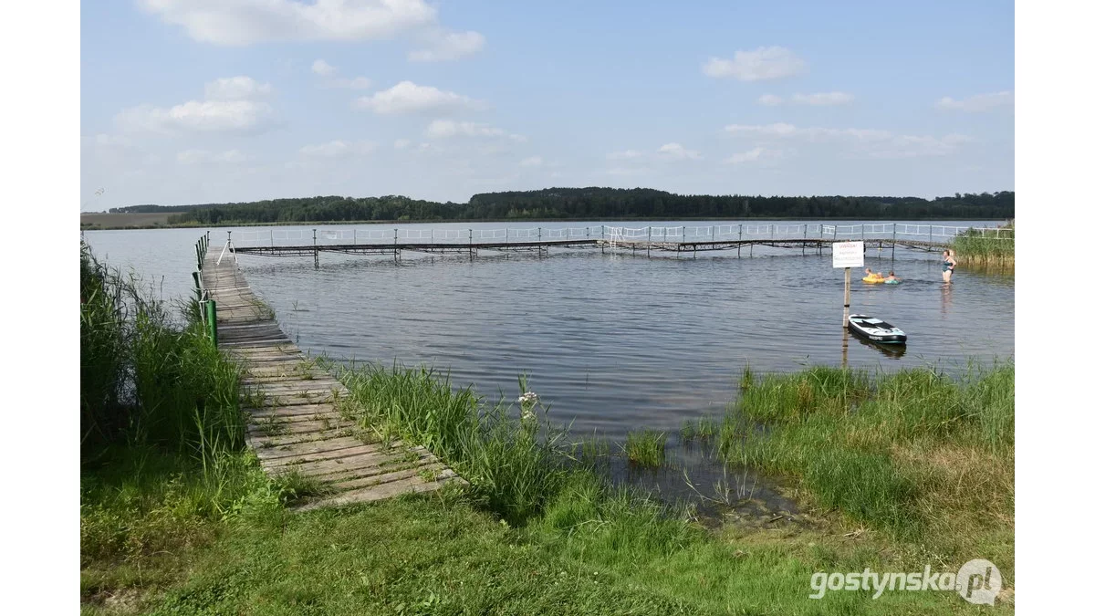 Ile pieniędzy wielkopolskie samorządy wydają na ochronę środowiska i klimatu? Liderami w kraju nie jesteśmy