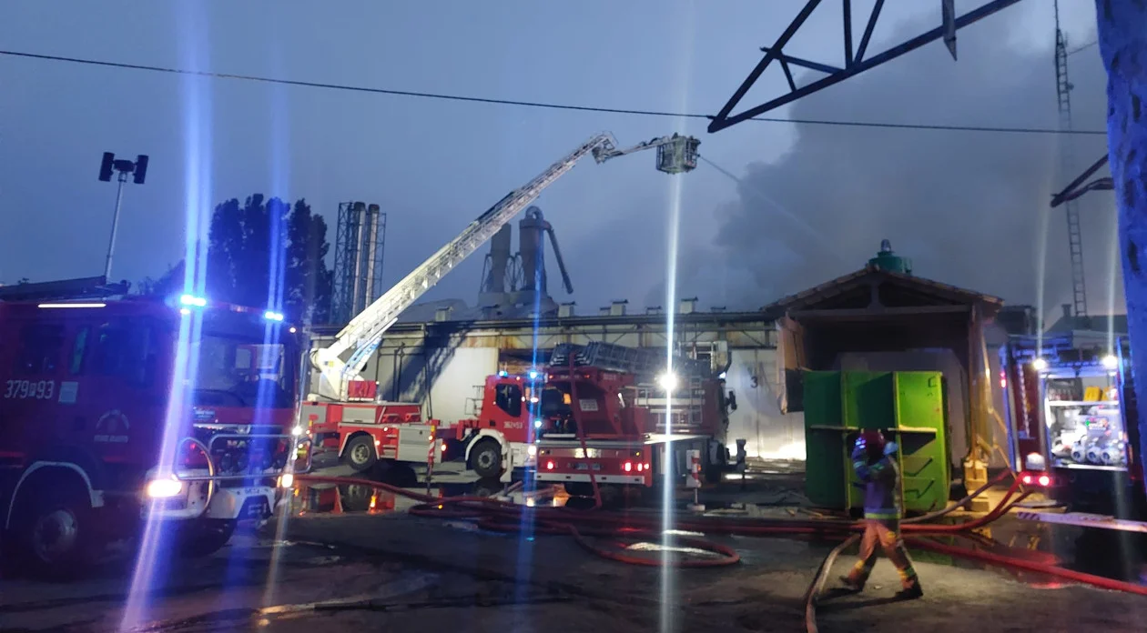 Około 140 strażaków walczy z ogromnym pożarem tartaku w Grodźcu - Zdjęcie główne