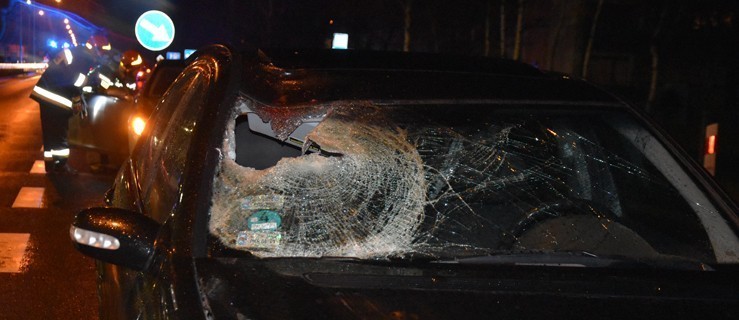 Makabrycznie potrącenie pieszego. Nie miał szans na przeżycie [ZDJĘCIA] - Zdjęcie główne