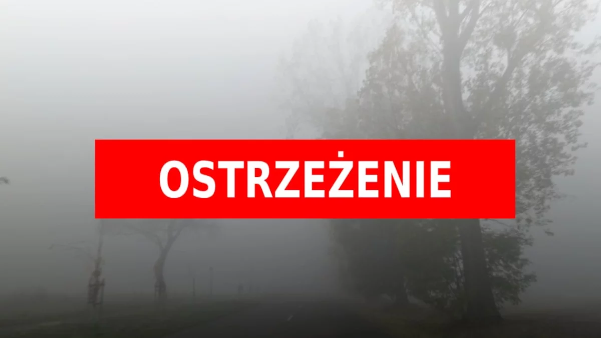 W całej Wielkopolsce gęste mgły. W tych powiatach może być szczególnie niebezpiecznie - Zdjęcie główne