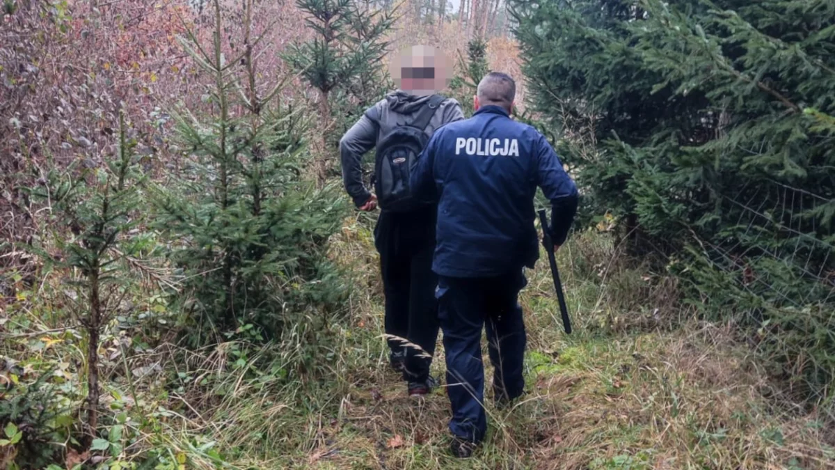 Policjanci zlikwidowali "rodzinny biznes". Zaskakujące odkrycie w lesie pod Kościanem - Zdjęcie główne