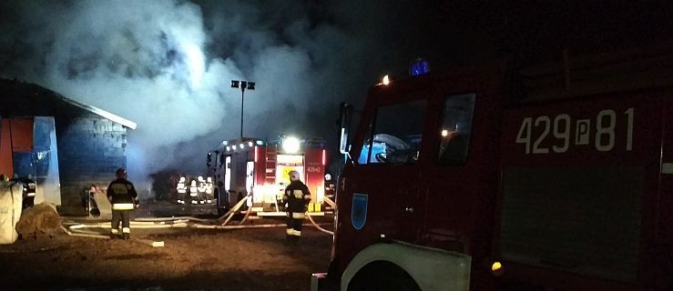 Ogromny pożar hali magazynowej pod Gnieznem. Około 100 strażaków walczy z ogniem - Zdjęcie główne