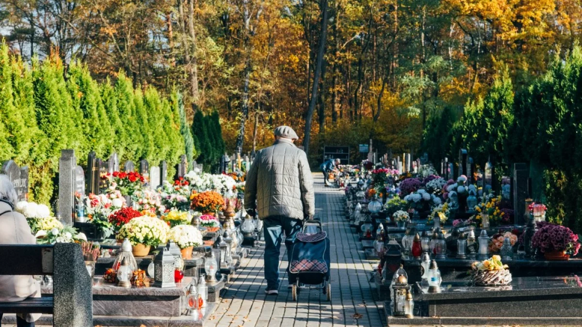 Bezpłatne sprzątanie nagrobków w Poznaniu. Kto może zamówić usługę? - Zdjęcie główne