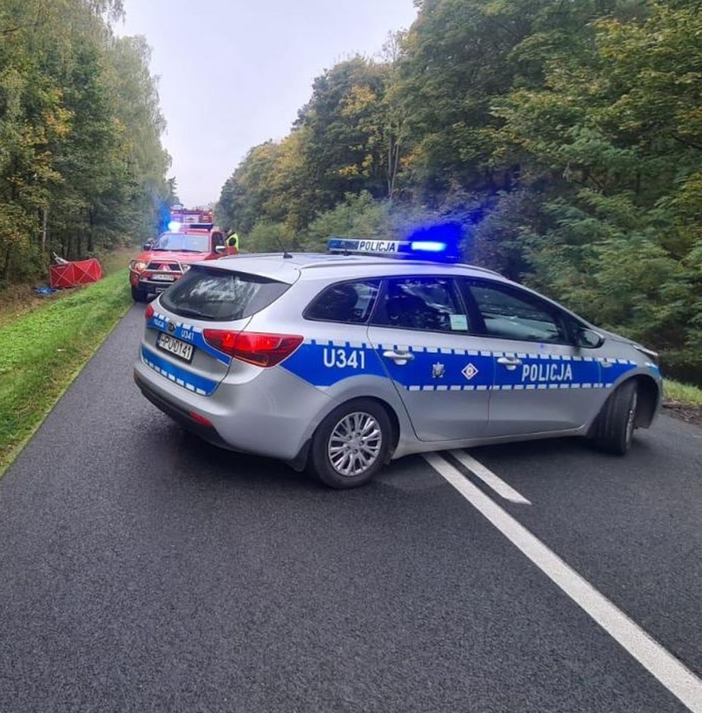 Tragiczny wypadek na trasie Chodzież - Margonin - Zdjęcie główne