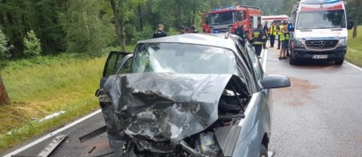 Nie żyje 4 letnia dziewczynka. To trzecia ofiara wypadku w Dziadkowie - Zdjęcie główne