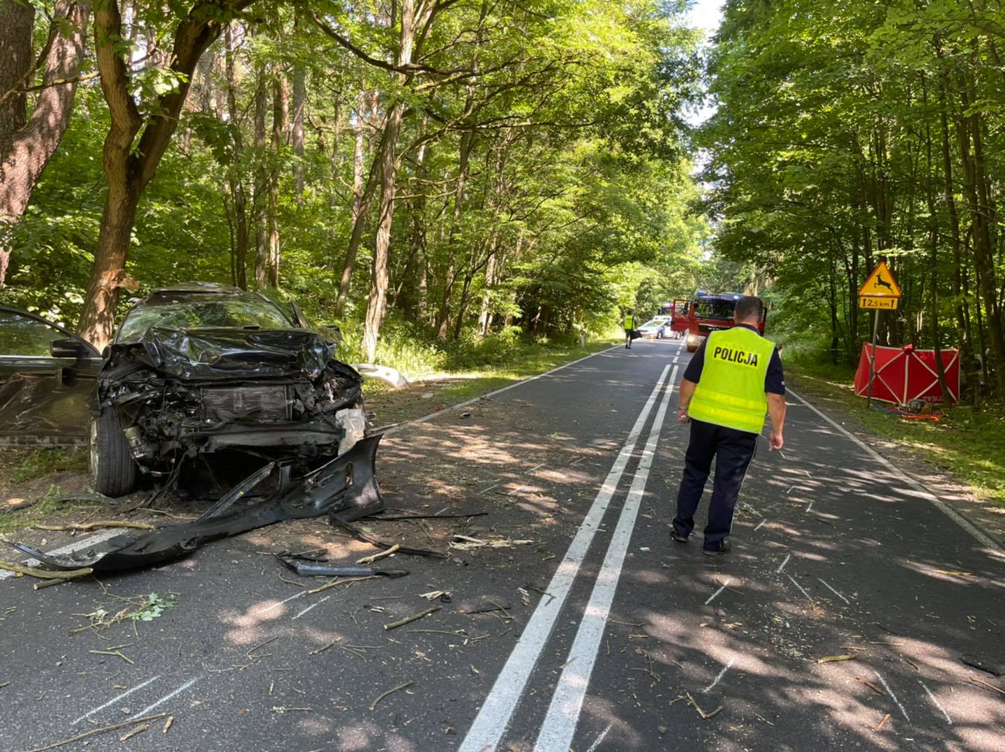 Tragiczny wypadek. Kobieta poniosła śmierć na miejscu - Zdjęcie główne