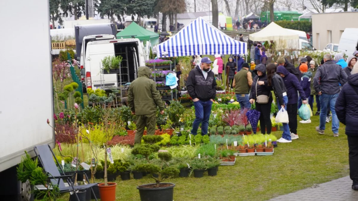 Trwa AGROMARSZ 2026 w Marszewie. Pogoda nie sprzyja wystawcom i zwiedzającym [ZDJĘCIA]