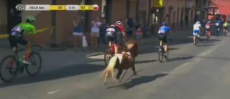 Kucyk walczył o wygraną w Tour de Pologne - Zdjęcie główne