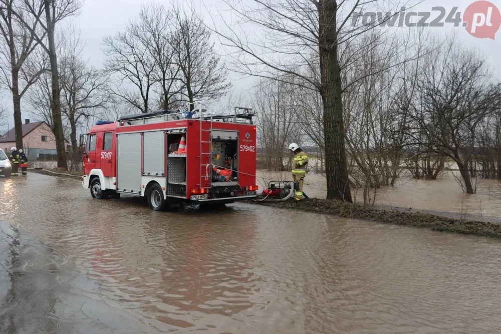 Alarmująco wysoki stan wód w rzekach Wielkopolski. Alert synoptyków - Zdjęcie główne