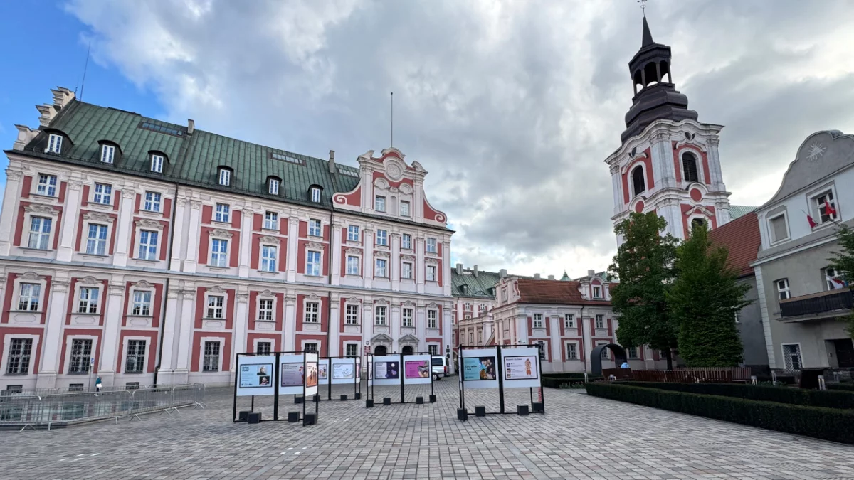 Można zarobić ponad 7 tys. zł. Poznański urząd miasta oferuje staże dla studentów - Zdjęcie główne