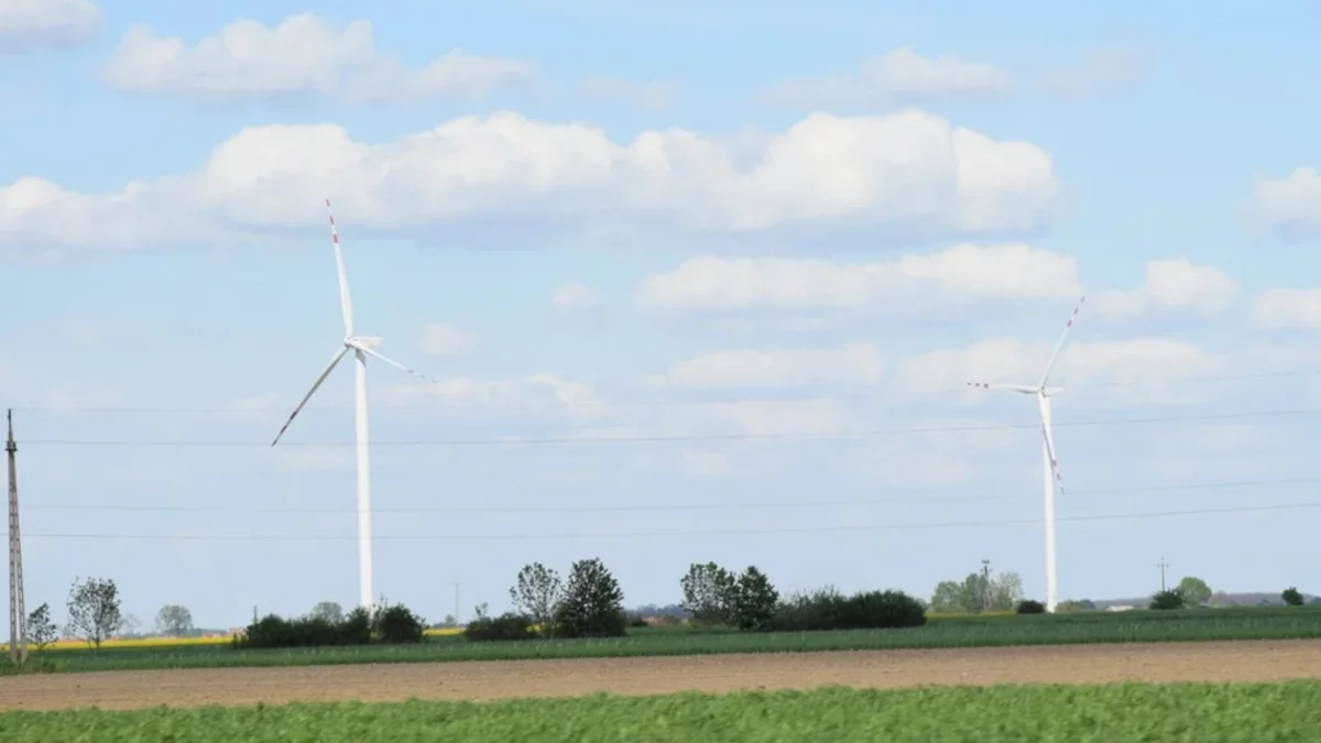 Rozpoczęła się budowa dużej farmy wiatrowej w Wielkopolsce. Inwestorem Tauron - Zdjęcie główne