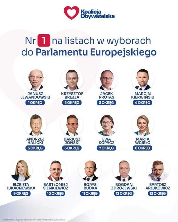 Kto z Wielkopolski wystartuje w wyborach do Europarlamentu? - Zdjęcie główne