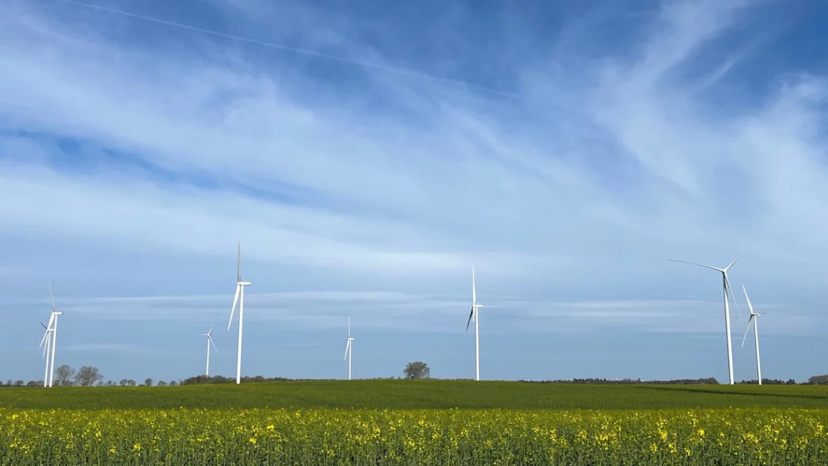 Gigantyczna farma wiatrowa Tauronu w Wielkopolsce. Prąd dla 200 tys. gospodarstw domowych - Zdjęcie główne