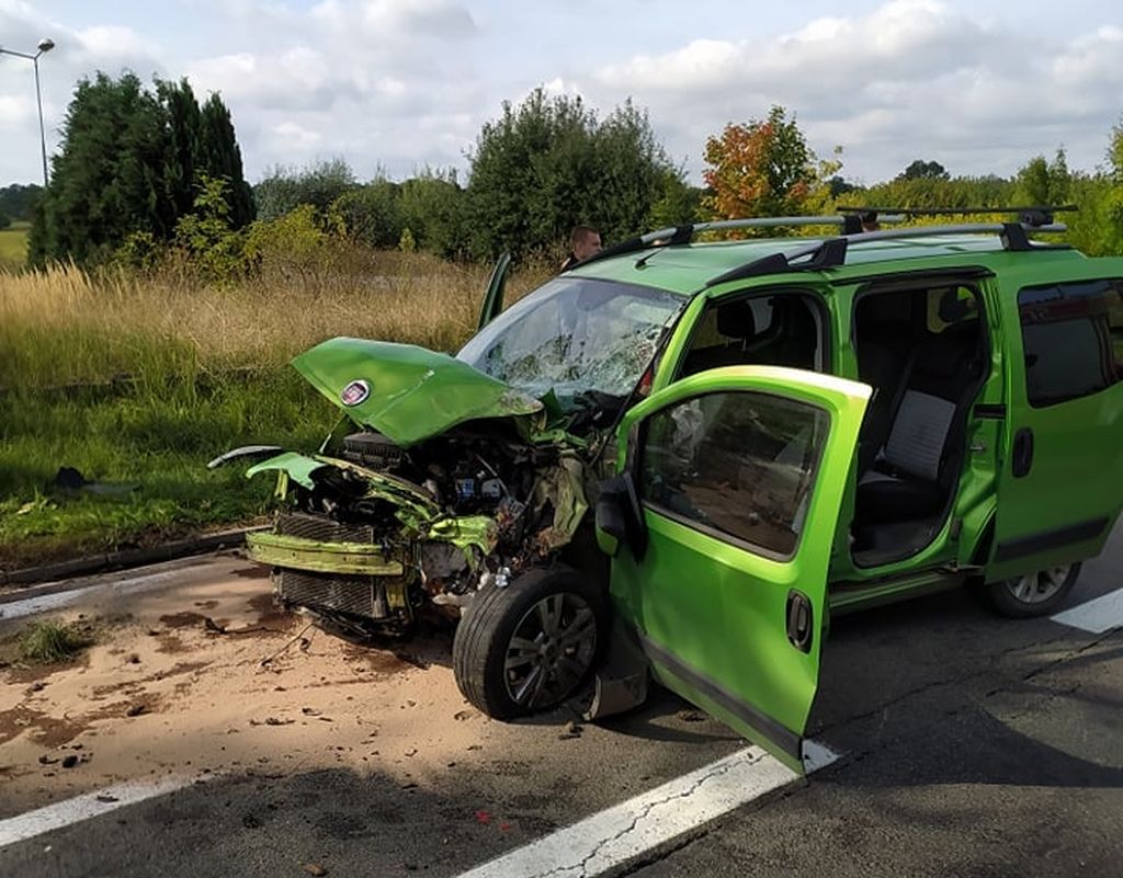 Wypadek na drodze krajowej nr 24 w Daleszynku. Nie żyje 19-latek - Zdjęcie główne