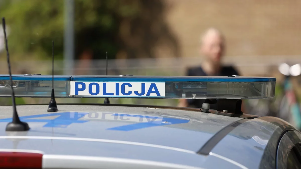 Ludzkie szczątki na jednej z ulic w Poznaniu. Do odkrycia doszło podczas prac remontowych