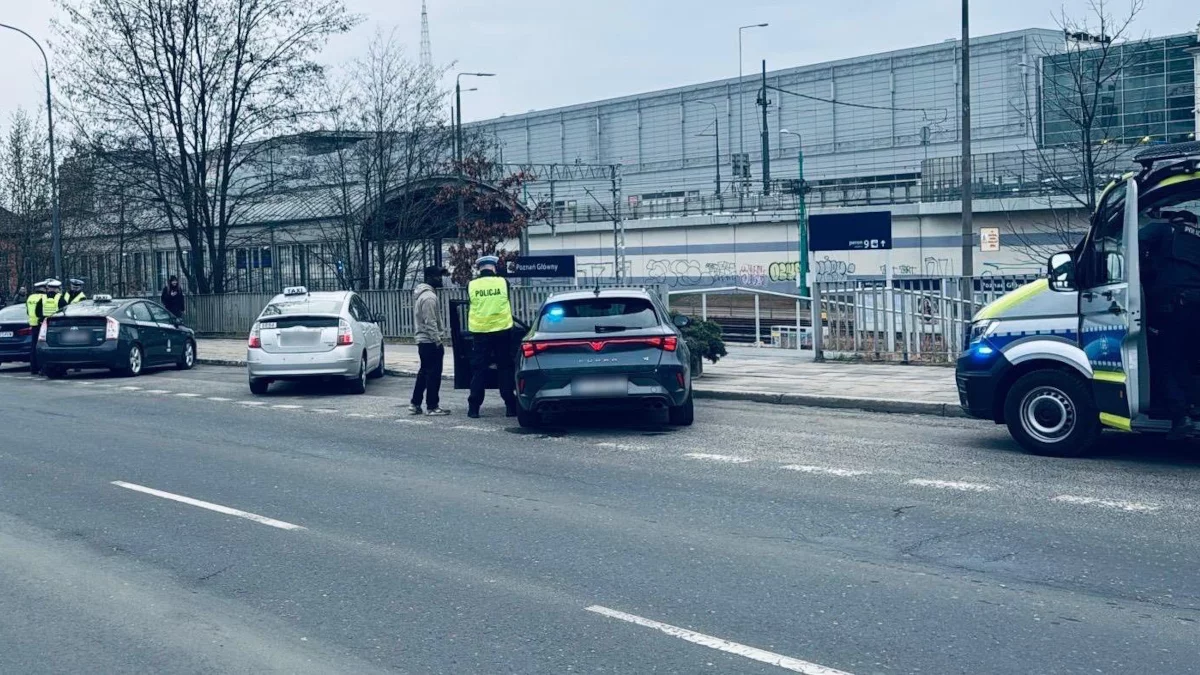 Wielka obława żaboli na taksówkarzy. Zatrzymano 15 bez licencji i kryminalistę