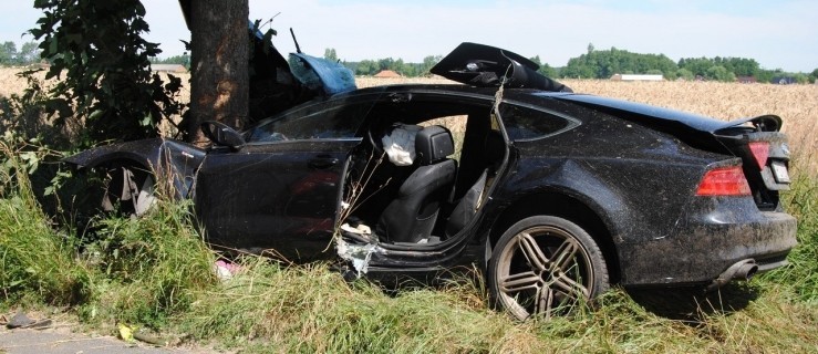 Audi roztrzaskane na drzewie. Kierowcę w ciężkim stanie zabrał helikopter LPR - Zdjęcie główne