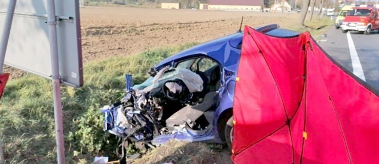 Śmierć na drodze. Krajowa "jedenastka" zablokowana  - Zdjęcie główne