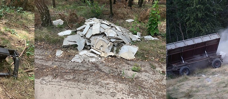 Pojechał wyrzucić śmieci do lasu. Tego dnia długo nie zapomni. Został nagrany  - Zdjęcie główne