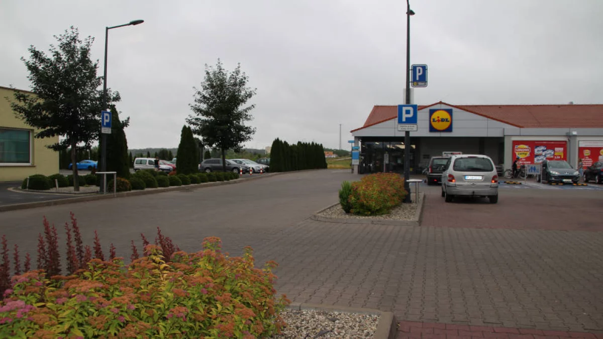 Zostałeś przyłapany na parkowaniu bez biletu? Czy musisz płacić horrendalną karę?