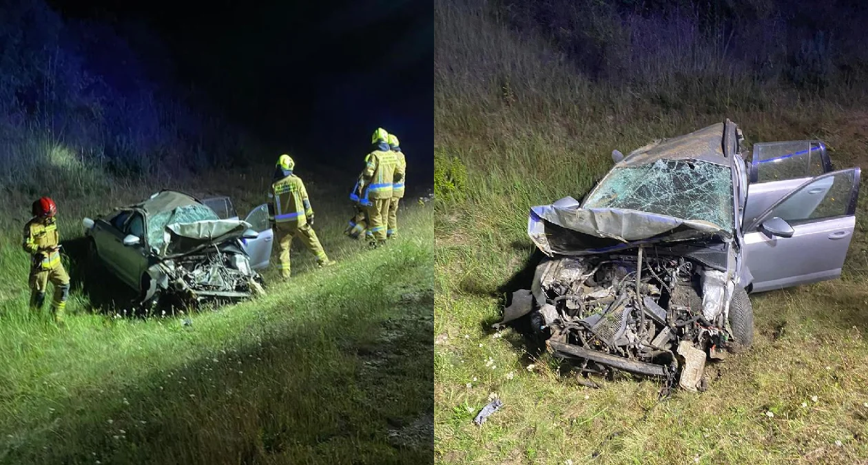 Auto dachowało po potrąceniu wilka. Wypadek pod Kępnem - Zdjęcie główne