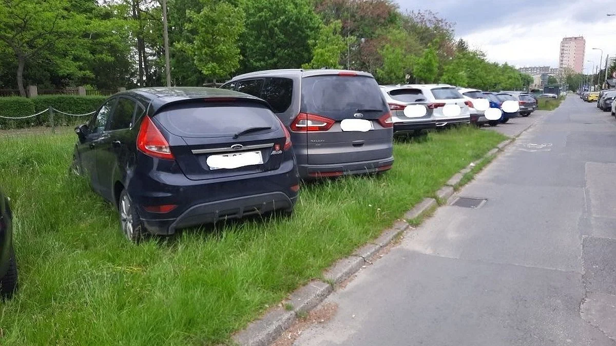 1.488 interwencji Straży Miejskiej w Poznaniu w jednym tygodniu majowym - Zdjęcie główne