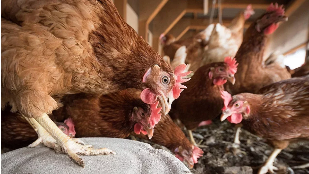 Koniec z restrykcjami! Wojewoda wydał rozporządzenie