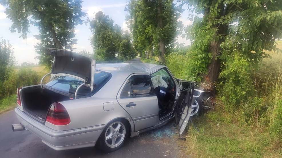 22-latek używał telefonu podczas jazdy. Uderzył w drzewo - Zdjęcie główne