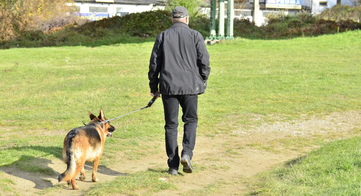 Marsz Kejterka 2023. W weekend Poznań opanują czworonogi - Zdjęcie główne