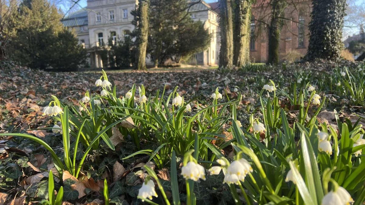 Niepowtarzalna okazja zobaczenia z bliska miejsca, w którym toczyła się "Najdłuższa wojna nowoczesnej Europy"