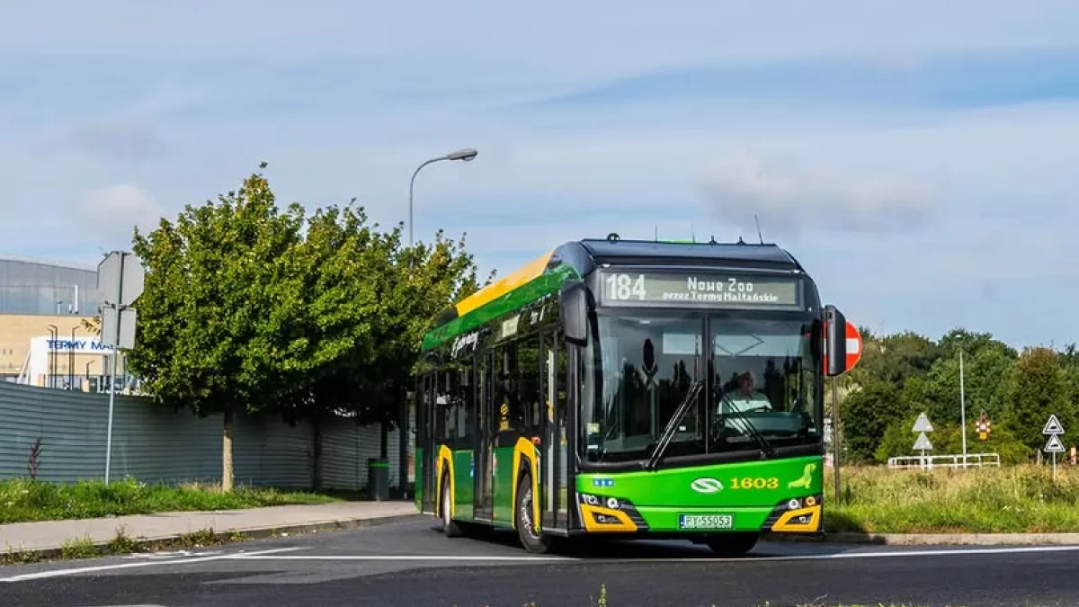 Awaria autobusów wodorowych w Poznaniu. Cała flota wycofana z ruchu - Zdjęcie główne