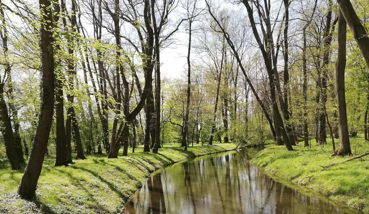 Pogoda na majówkę 2024 w Wielkopolsce. Gdzie będzie najcieplej? - Zdjęcie główne