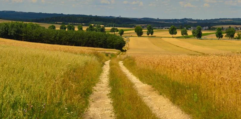 8 mln zł dla wielkopolskich gmin na budowę dróg. Zobacz, kto dostał pieniądze - Zdjęcie główne