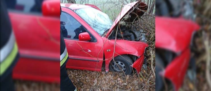 Młoda kobieta uderzyła w drzewo. Reanimacja trwała prawie godzinę  - Zdjęcie główne