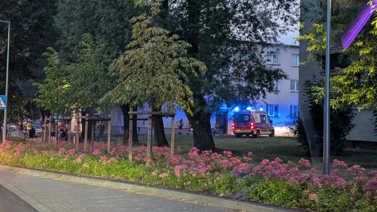 Zmarł po bójce w mieszkaniu. Dwóch mężczyzn trafiło do aresztu