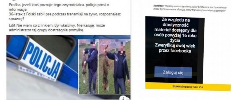 Zabili psa podczas transmisji na żywo? To nieprawda - Zdjęcie główne