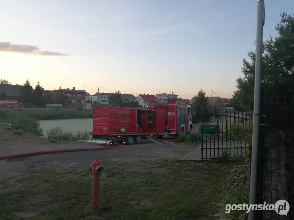 Gajewo - powiat śremski. Pożar zboża na pniu w Gajewie. Z ogniem walczyli strażacy z kilku powiatów: gostyńskiego, śremskiego, jarocińskiego, poznańskiego