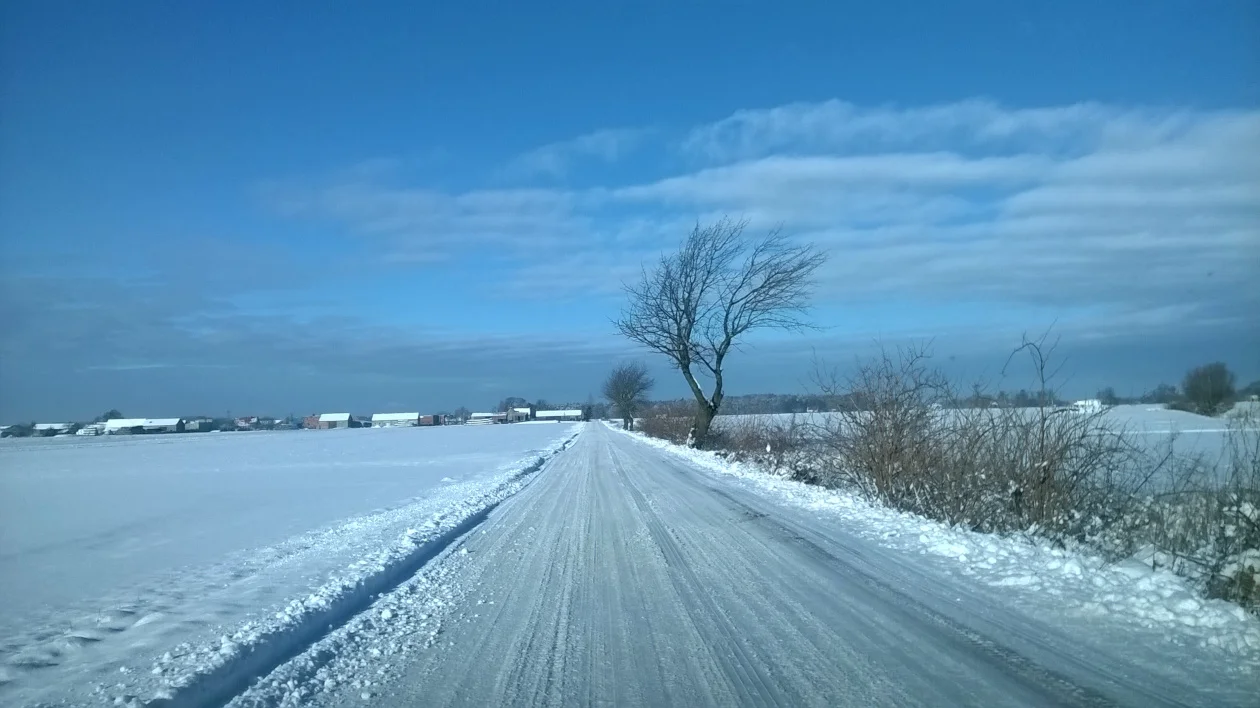 Będzie na minusie i sypnie śniegiem. Pogoda w Wielkopolsce na pierwszy weekend grudnia - Zdjęcie główne