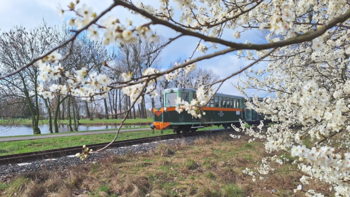 Kultowa kolejka rusza po zimowej przerwie. Na trasie pojawi się stuletni wagon pasażerski