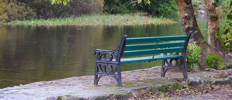 Ukrainka dostała wylewu w pracy. Pracodawca położył ją na ławce przy drodze - Zdjęcie główne